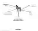 Fig. 28 - NOVEL NON-PRIMATE HEPACIVIRUS
