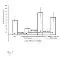 Fig. 08 - Nucleic acid/polysaccharide complex