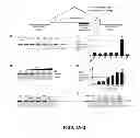 Fig. 02 - OLIGONUCLEOTIDE MODULATION OF SPLICING