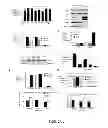 Fig. 03 - OLIGONUCLEOTIDE MODULATION OF SPLICING