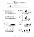 Fig. 04 - OLIGONUCLEOTIDE MODULATION OF SPLICING