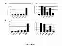 Fig. 07 - OLIGONUCLEOTIDE MODULATION OF SPLICING