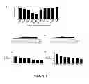 Fig. 09 - OLIGONUCLEOTIDE MODULATION OF SPLICING