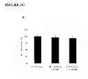 Fig. 07 - Cancer Therapy