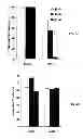 Fig. 06 - Compositions and Methods for Delivery of MicroRNA to Cells