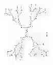 Fig. 09 - Compositions and Methods for Delivery of MicroRNA to Cells
