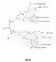 Fig. 13 - Compositions and Methods for Delivery of MicroRNA to Cells