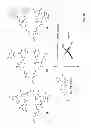 Fig. 17 - Compositions and Methods for Delivery of MicroRNA to Cells