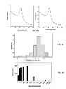 Fig. 20 - Compositions and Methods for Delivery of MicroRNA to Cells