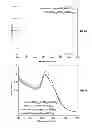 Fig. 23 - Compositions and Methods for Delivery of MicroRNA to Cells