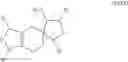 Fig. 33 - POLYCYCLIC COMPOUNDS AND METHODS RELATED THERETO