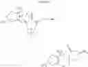 Fig. 49 - POLYCYCLIC COMPOUNDS AND METHODS RELATED THERETO