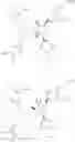 Fig. 89 - POLYCYCLIC COMPOUNDS AND METHODS RELATED THERETO