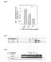 Fig. 02 - Methods of treatment using a BCAT1 inhibitor