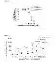 Fig. 03 - Methods of treatment using a BCAT1 inhibitor