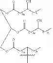 Fig. 09 - PUNCTAL PLUG COMPRISING A WATER-INSOLUBLE POLYMERIC MATRIX