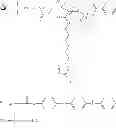 Fig. 09 - DIBLOCK COOPOLYMER MODIFIED NANOPARTICLE/POLYMER COMPOSITES