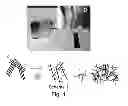 Fig. 02 - Polymer nanocomposites and methods of making nanocomposites