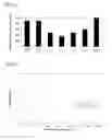 Fig. 03 - Impregnated calcium carbonate, method for producing same, polymer composition, and polymer precursor composition