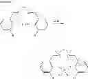 Fig. 22 - Supported Salan catalysts