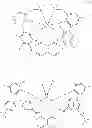 Fig. 45 - Supported Salan catalysts