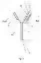 Fig. 02 - Method for acquiring a heat-stable antibody-displayed phage
