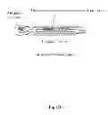 Fig. 03 - Method for acquiring a heat-stable antibody-displayed phage