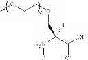 Fig. 08 - Conformationally-preorganized, miniPEG-containing γ-peptide nucleic acids