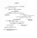 Fig. 20 - Protein hydrolyzate and processes for the production thereof