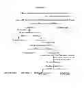Fig. 22 - Protein hydrolyzate and processes for the production thereof