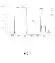 Fig. 02 - PURIFICATION OF CHIMERIC PROTEIN