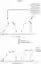 Fig. 22 - Disubstituted amino acids and methods of preparation and use thereof
