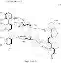 Fig. 08 - FRUCTOSE ABSORPTION INHIBITOR
