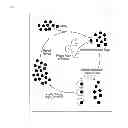 Fig. 02 - Nucleic acid modulators of glycoprotein VI