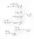 Fig. 19 - Nucleic acid modulators of glycoprotein VI