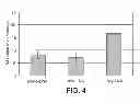 Fig. 05 - ANTISENSE DESIGN