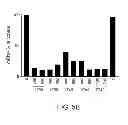 Fig. 07 - ANTISENSE DESIGN