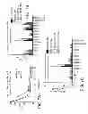 Fig. 10 - ANTISENSE DESIGN