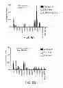 Fig. 11 - ANTISENSE DESIGN