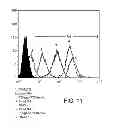 Fig. 14 - ANTISENSE DESIGN