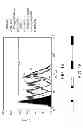 Fig. 17 - ANTISENSE DESIGN