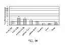 Fig. 18 - ANTISENSE DESIGN