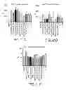 Fig. 24 - ANTISENSE DESIGN
