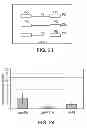 Fig. 26 - ANTISENSE DESIGN