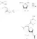 Fig. 29 - Synthesis of 5-azacytidine