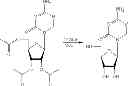 Fig. 30 - Synthesis of 5-azacytidine