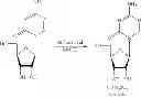 Fig. 31 - Synthesis of 5-azacytidine