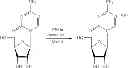 Fig. 33 - Synthesis of 5-azacytidine