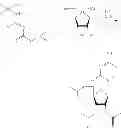 Fig. 35 - Synthesis of 5-azacytidine