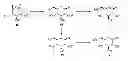 Fig. 01 - Process for the preparation of β-C-aryl glucosides